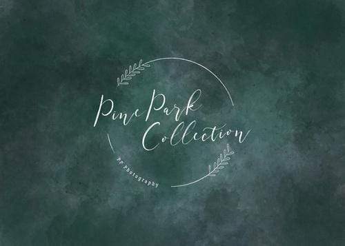 Kate Abstract Origin Teal Color Textured Backdrop Designed By Pine Park Collection - Image 2