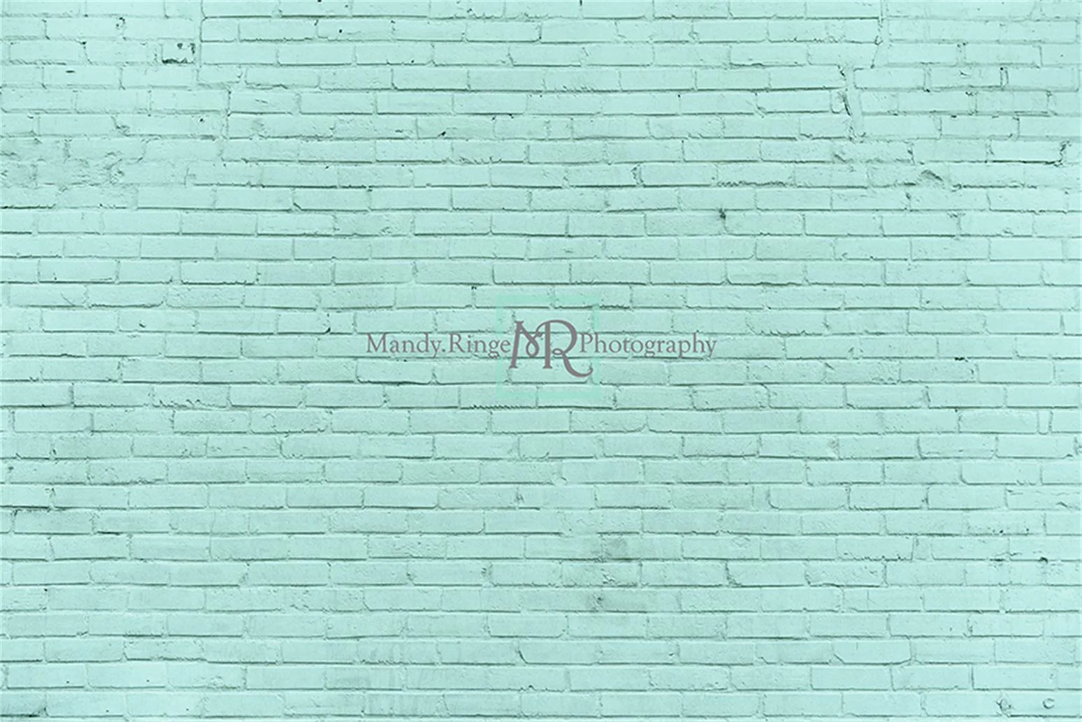Kate Aqua Brick Wall Backdrop Designed by Mandy Ringe Photography