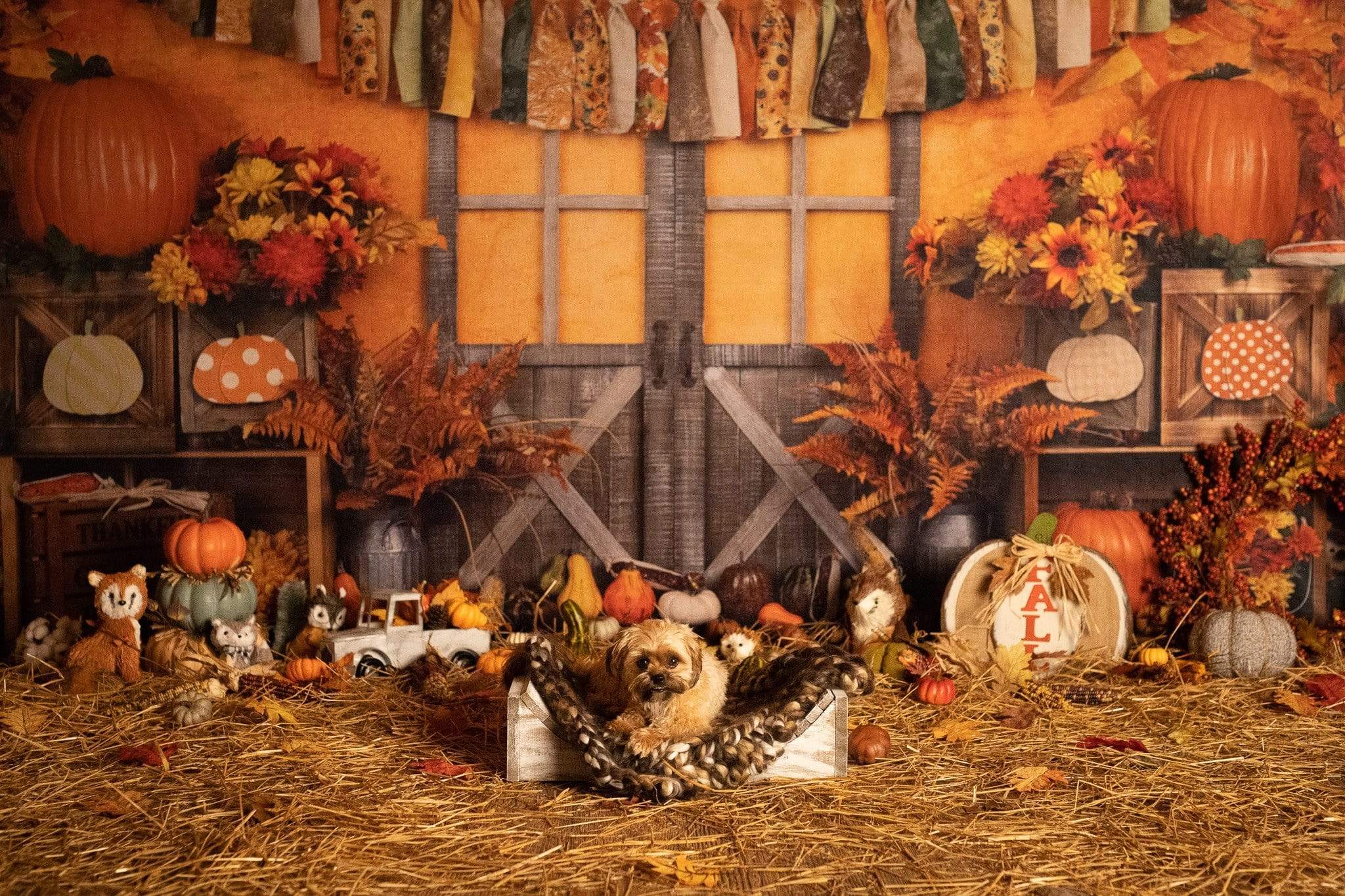 Kate Autumn Harvest Thanksgiving Backdrop - Image 12