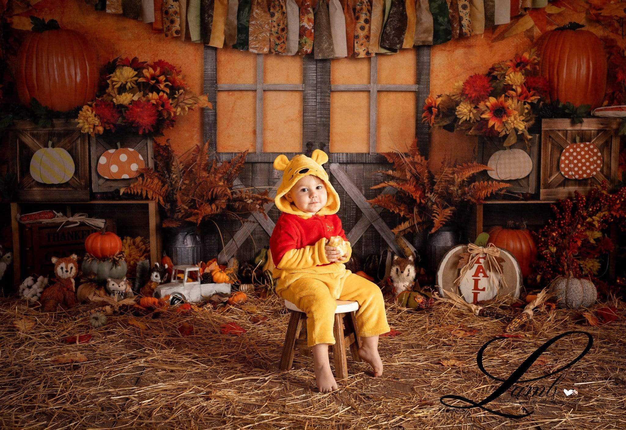 Kate Autumn Harvest Thanksgiving Backdrop - Image 13