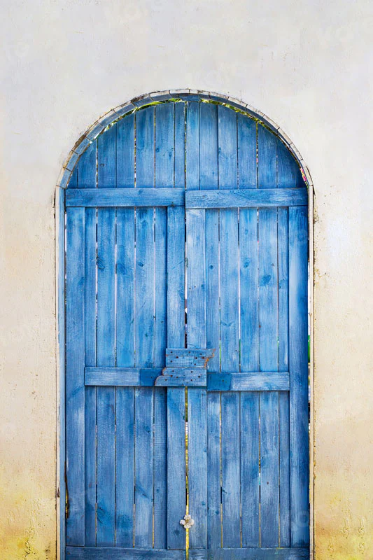 Kate Summer Blue Wooden Door Backdrop Designed by Jia Chan Photography - Image 3