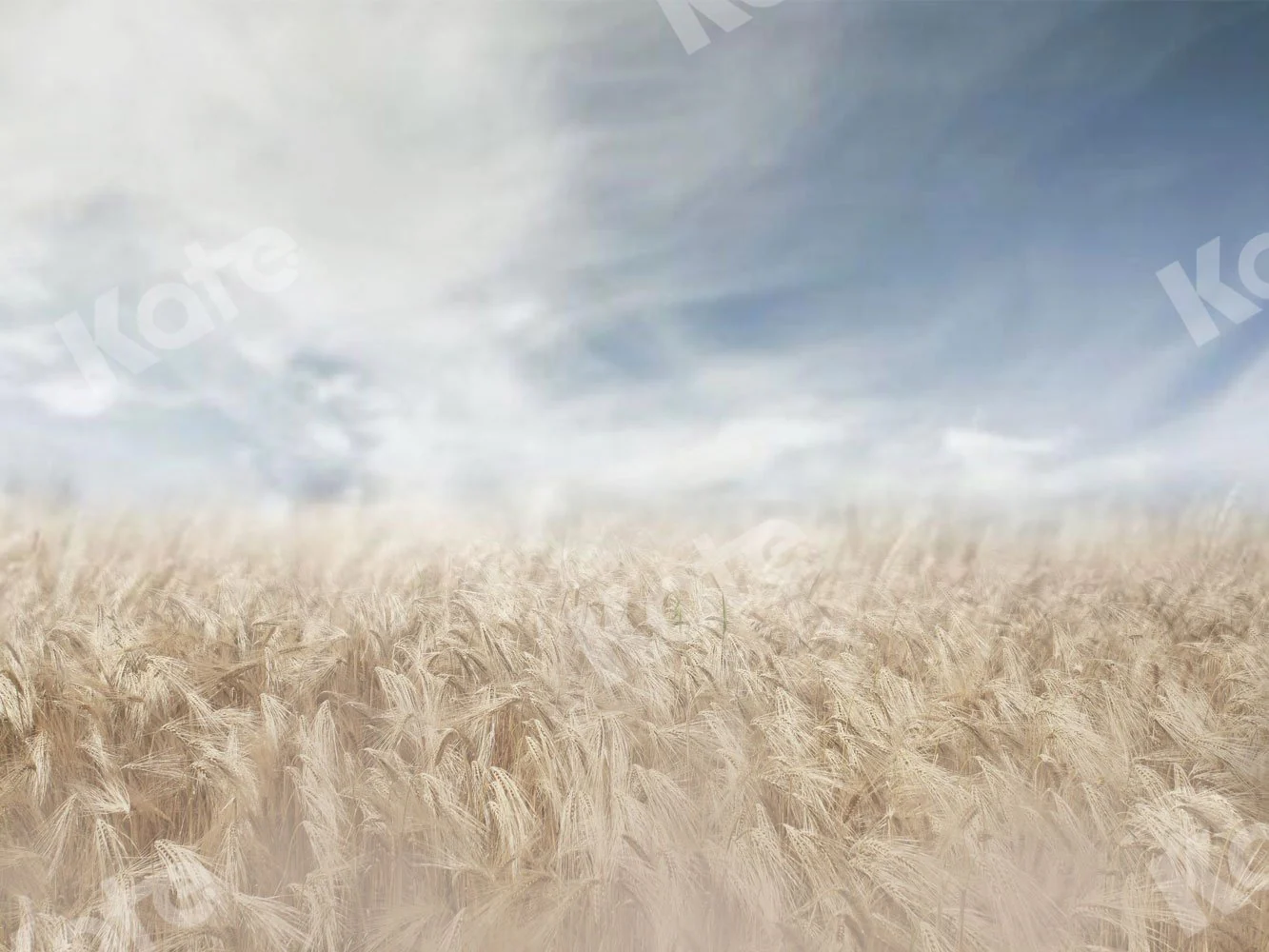 Kate Autumn Backdrop Blurred Wheatfield for Photography