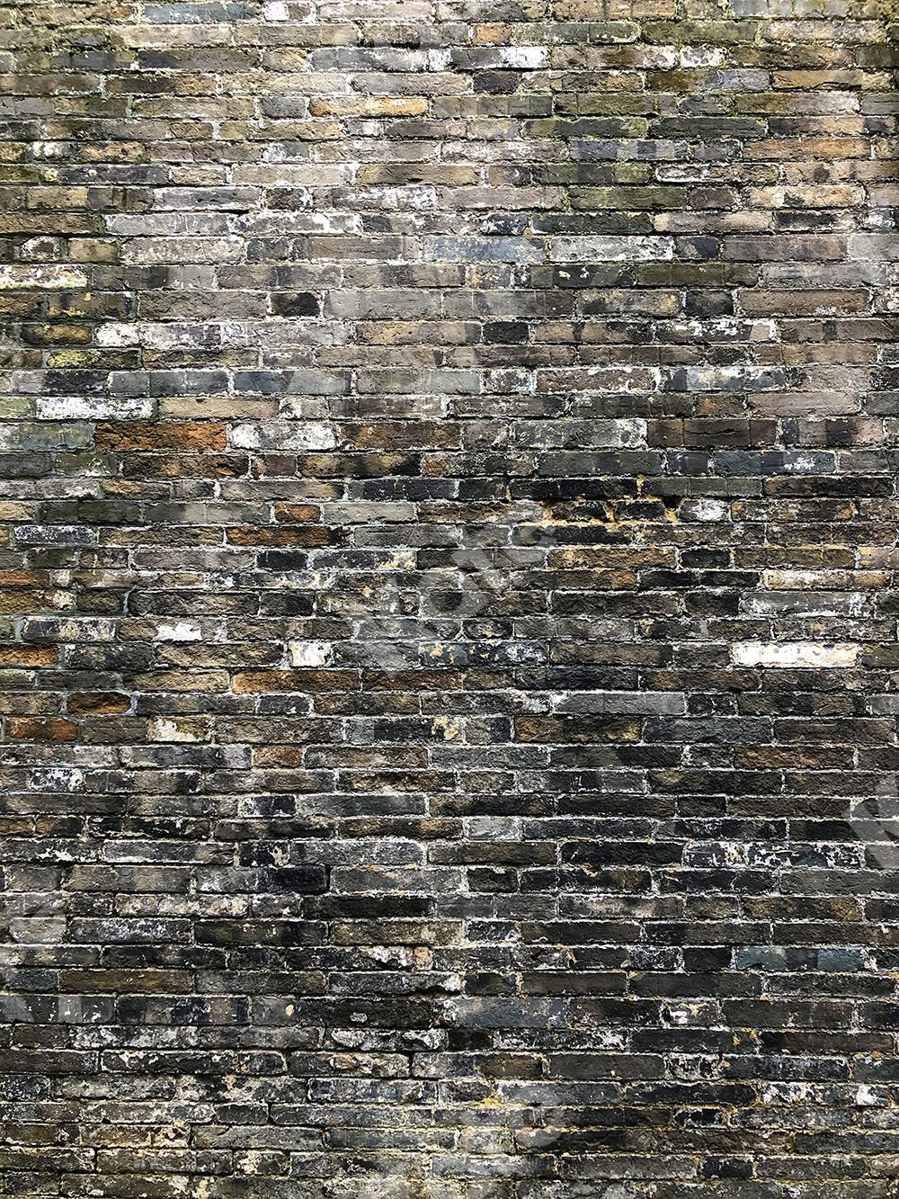 Kate Brick Black&Grey Backdrop for photography