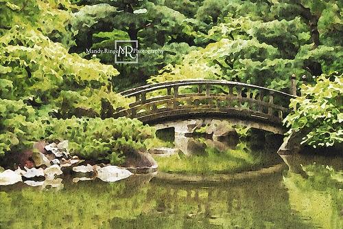 Kate Bridge Over Pond Backdrop Designed by Mandy Ringe Photography