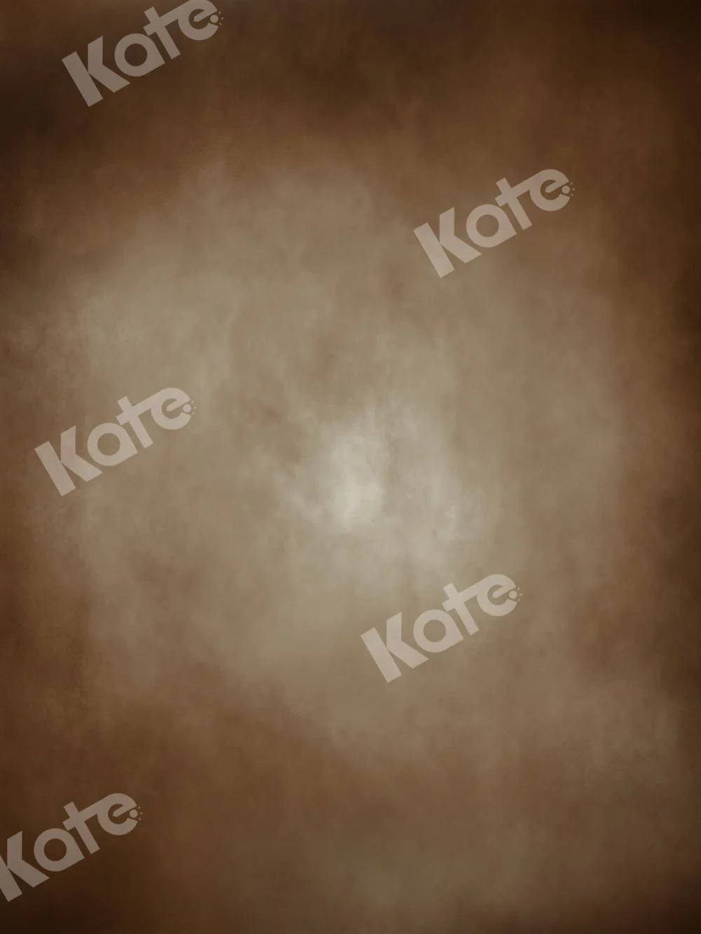 Kate Brown Abstract Old Master Backdrop for Photography - Image 2