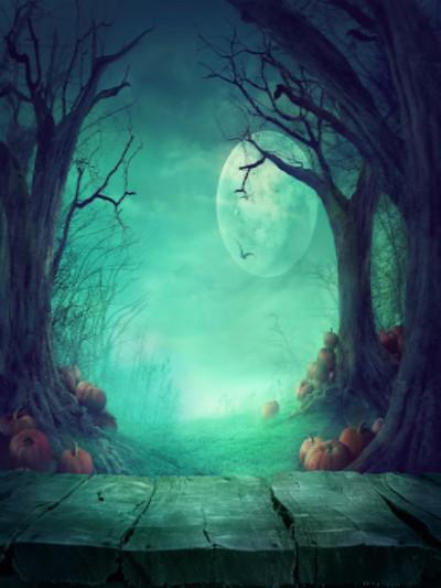 Kate Fantasy Halloween  Forest Night Moon Backdrops for Photography - Image 2
