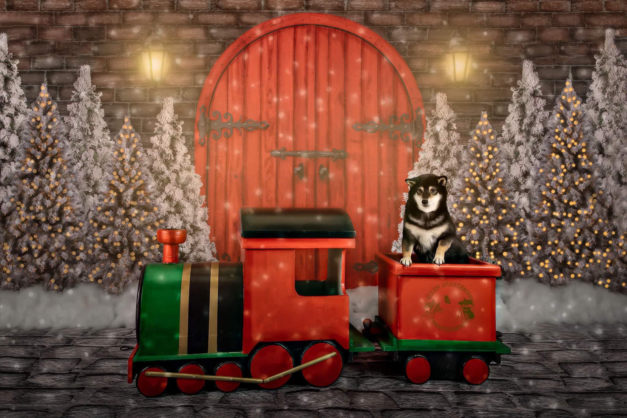 Kate Christmas Red Door Backdrop Designed By JS Photography - Image 3