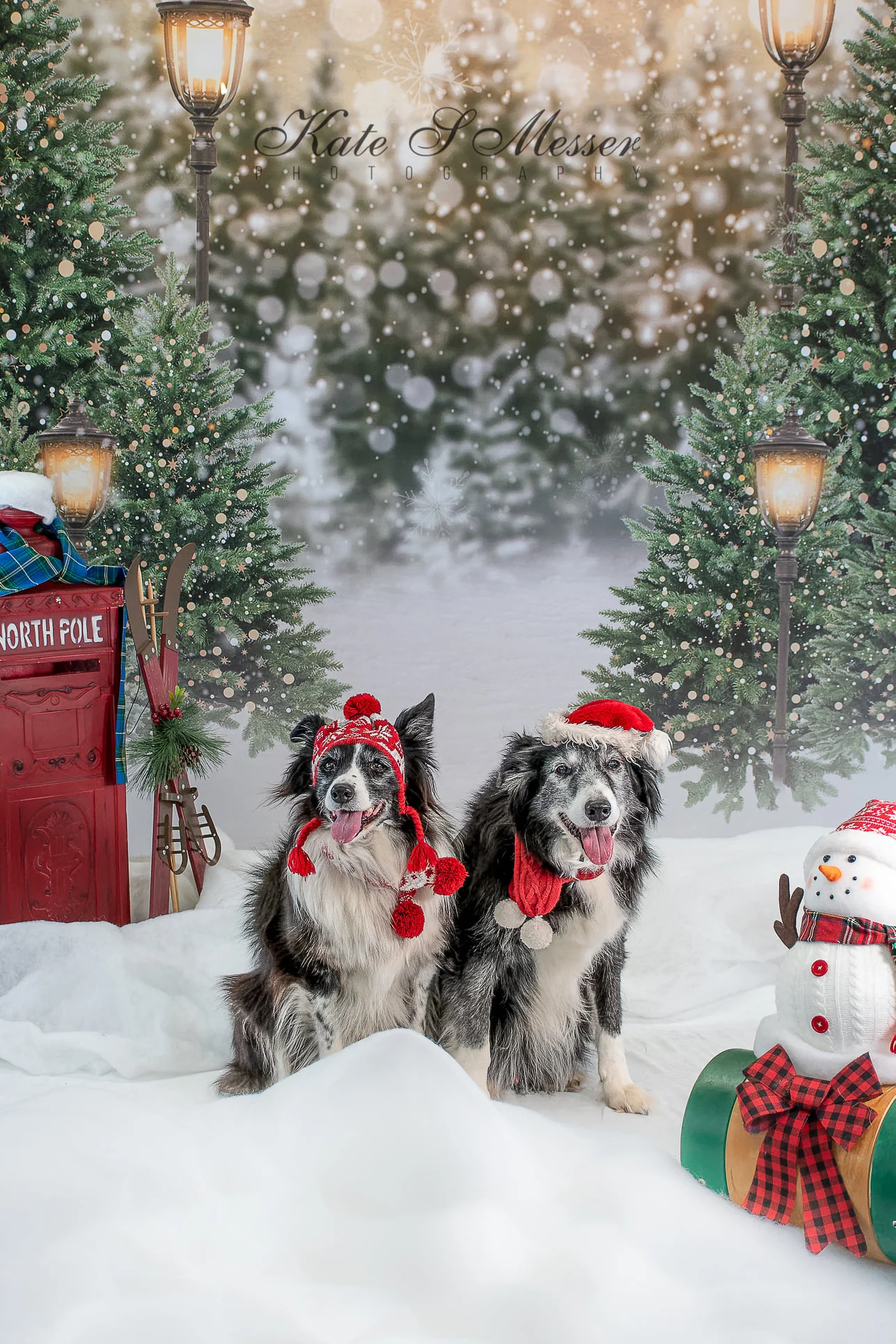 Kate Christmas Snow Forest Lights Backdrop for Photography - Image 10
