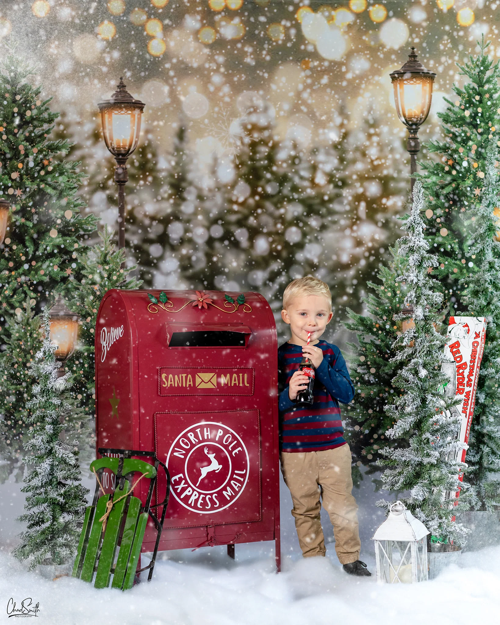Kate Christmas Snow Forest Lights Backdrop for Photography - Image 13