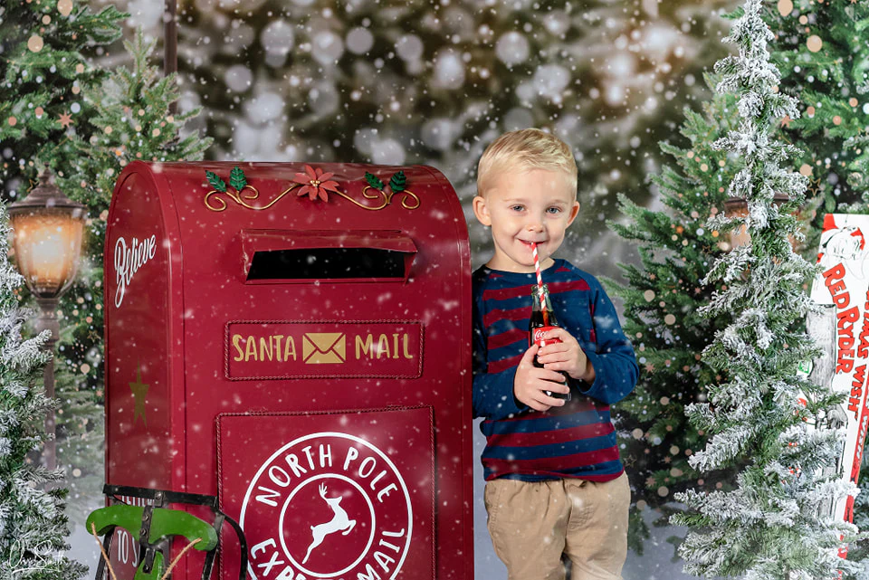 Kate Christmas Snow Forest Lights Backdrop for Photography - Image 17