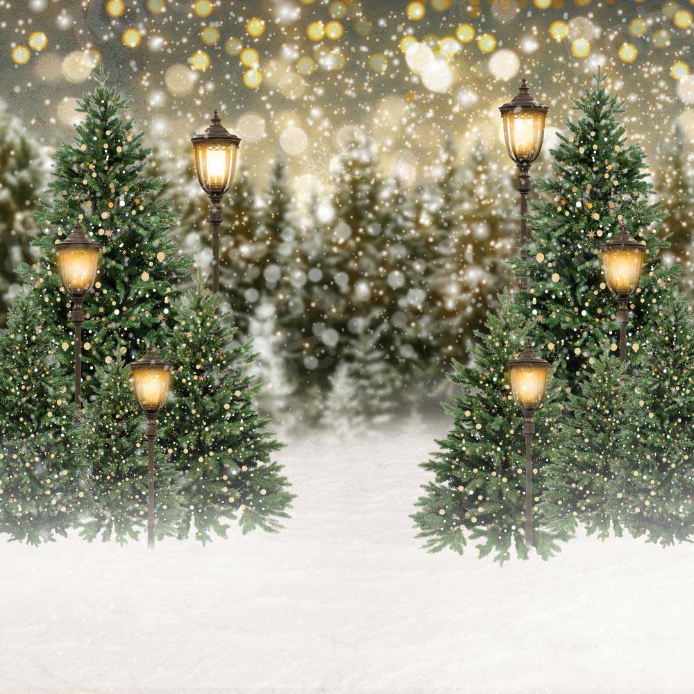 Kate Christmas Snow Forest Lights Backdrop for Photography - Image 22