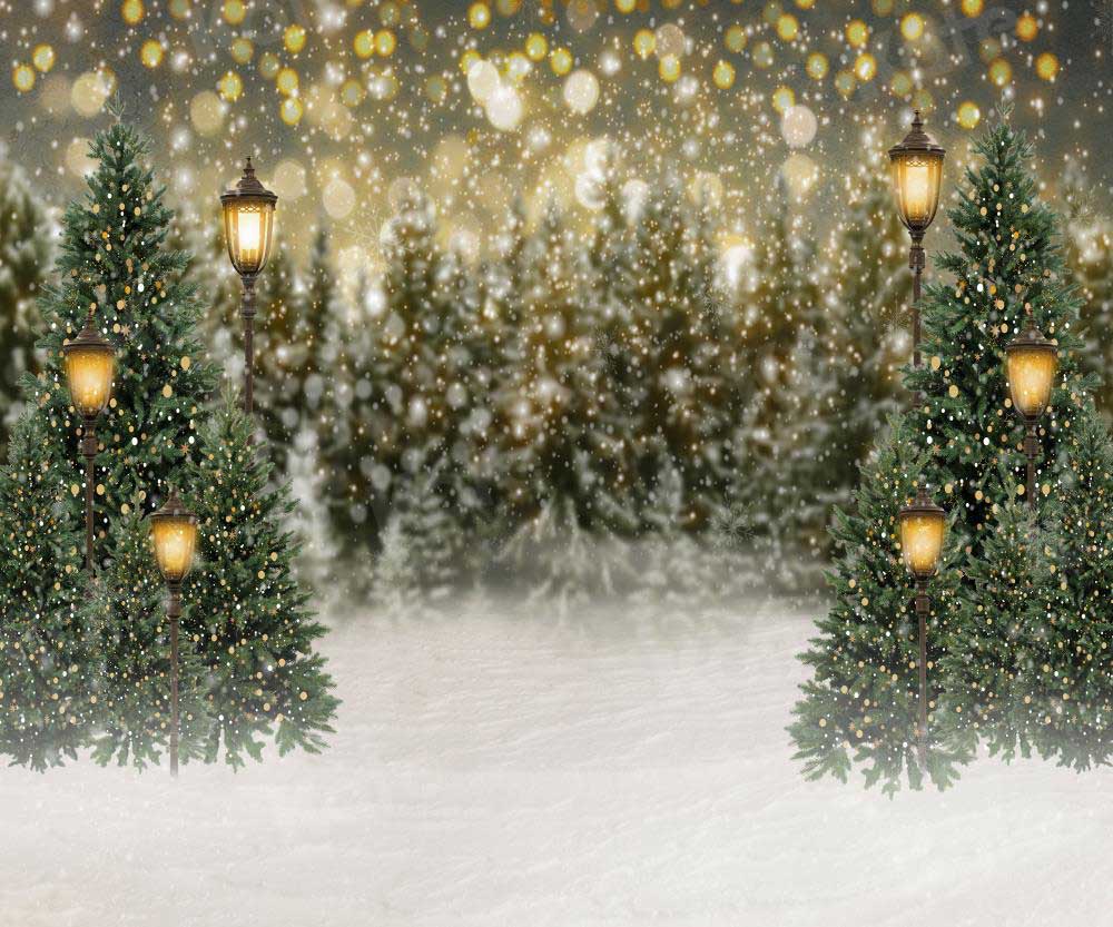 Kate Christmas Snow Forest Lights Backdrop for Photography - Image 23