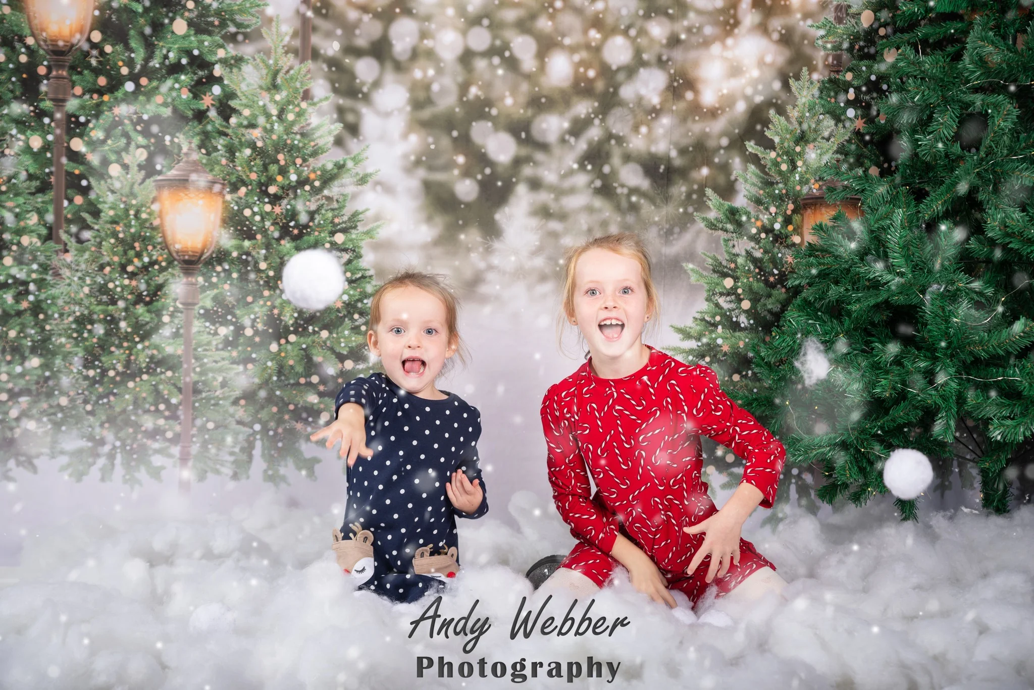 Kate Christmas Snow Forest Lights Backdrop for Photography - Image 3