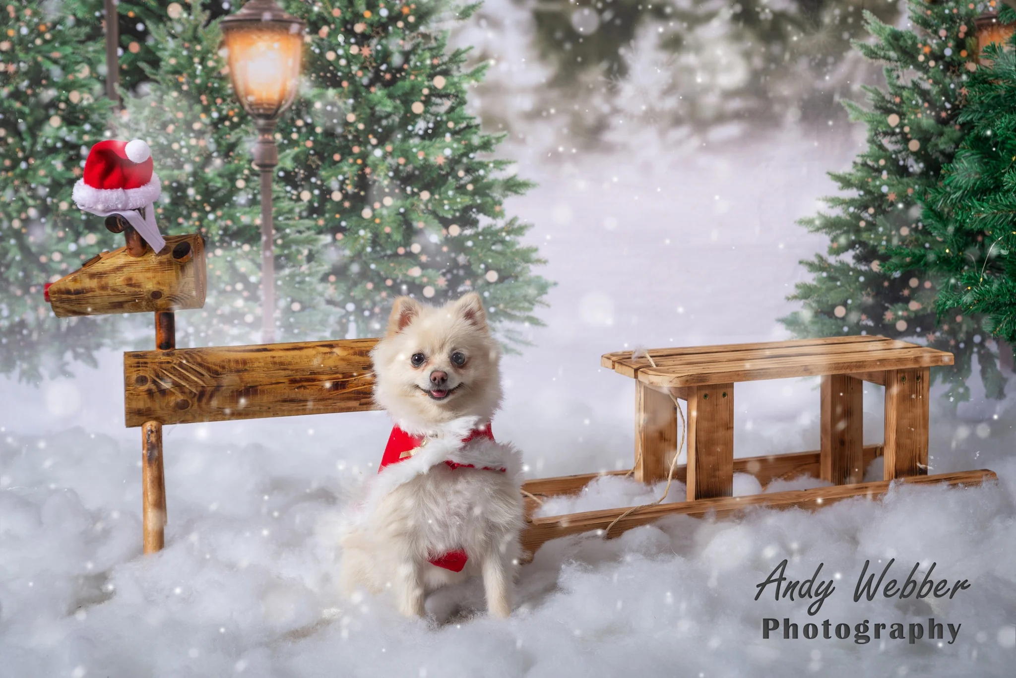Kate Christmas Snow Forest Lights Backdrop for Photography - Image 8