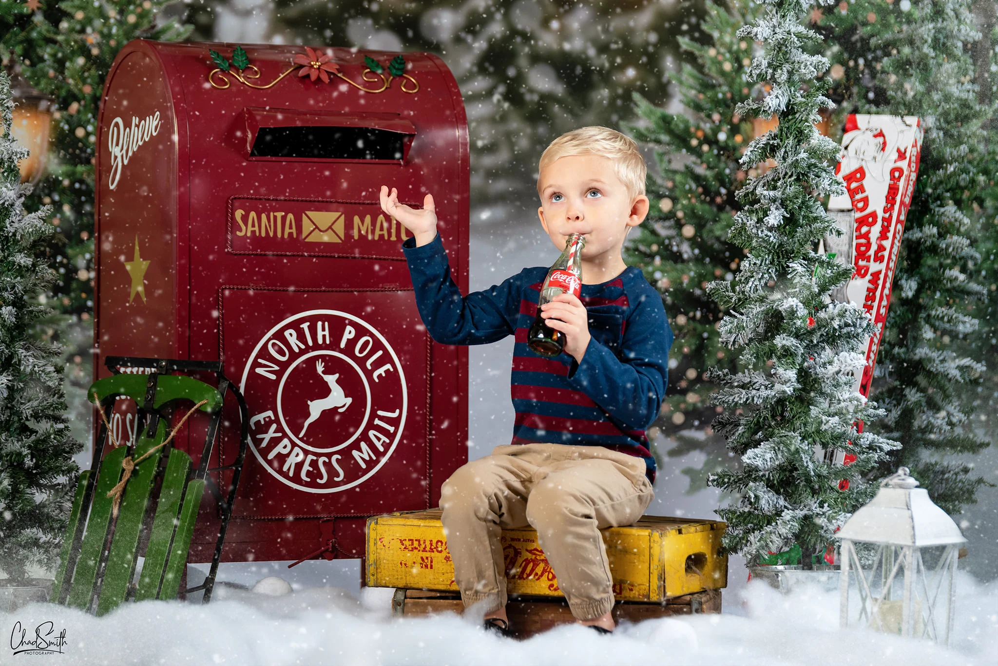 Kate Christmas Snow Forest Lights Backdrop for Photography - Image 9
