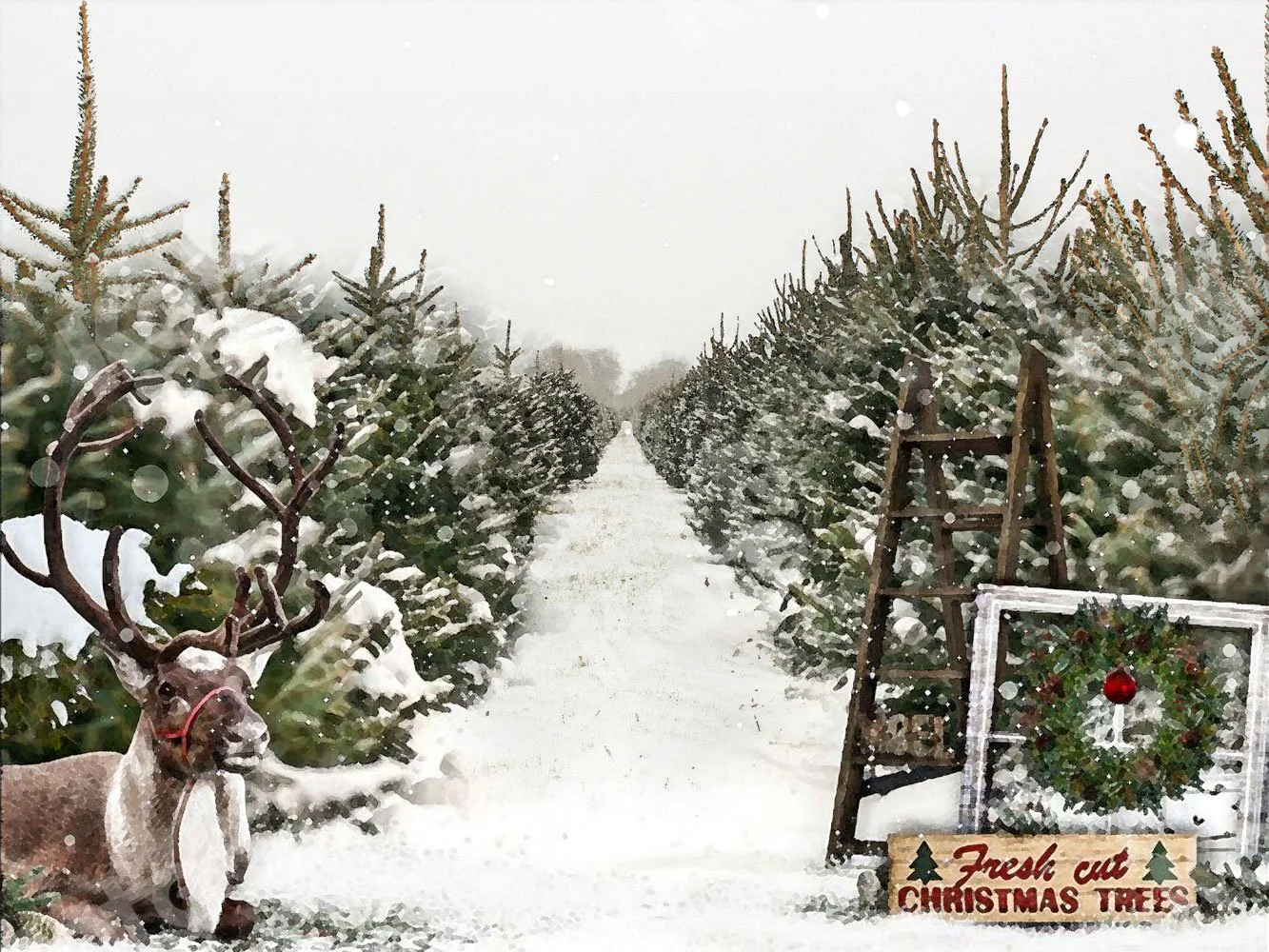 Kate Christmas Trees Sale Backdrop for Photography - Image 2