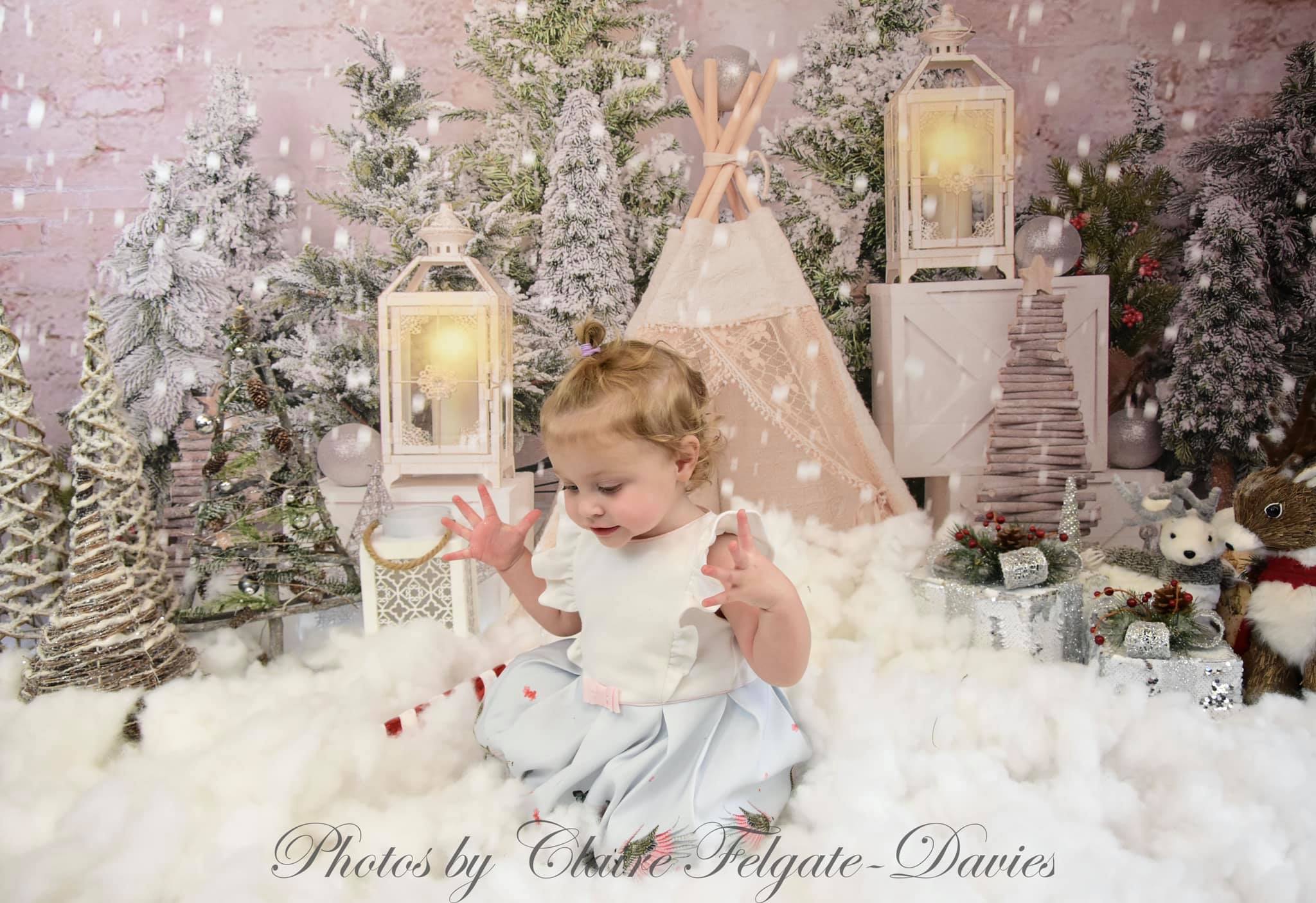 Kate Christmas Trees Tent Backdrop Designed by Emetselch - Image 4