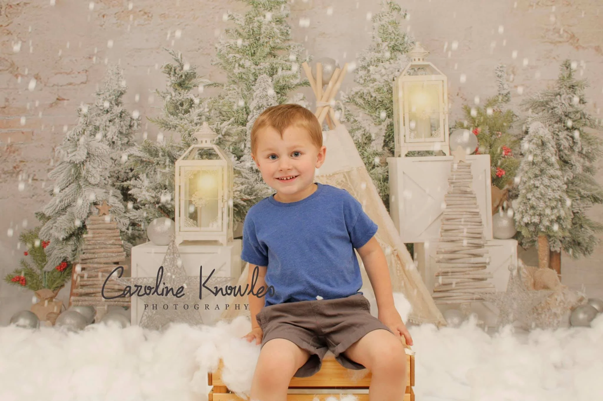 Kate Christmas Trees Tent Backdrop Designed by Emetselch - Image 5