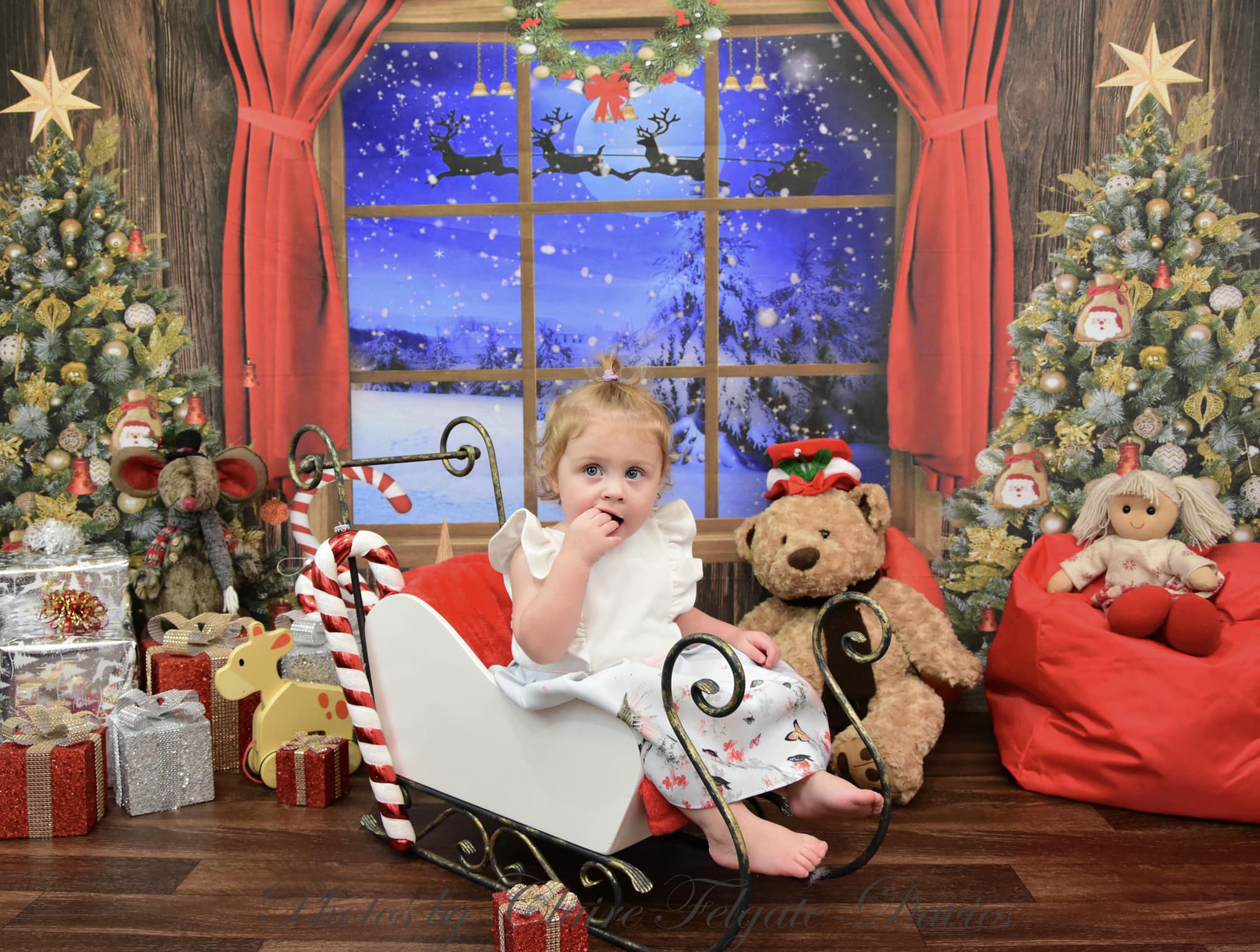 Kate Christmas Trees Window Backdrop Designed by Chain Photography - Image 4