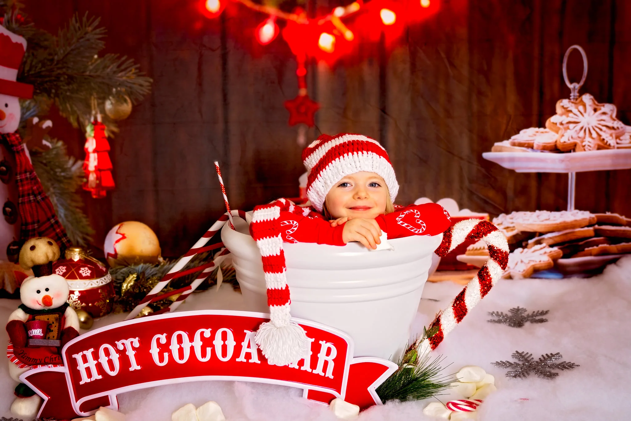 Kate Christmas Cookies Wood Hot Cocoa Backdrop for Photography
