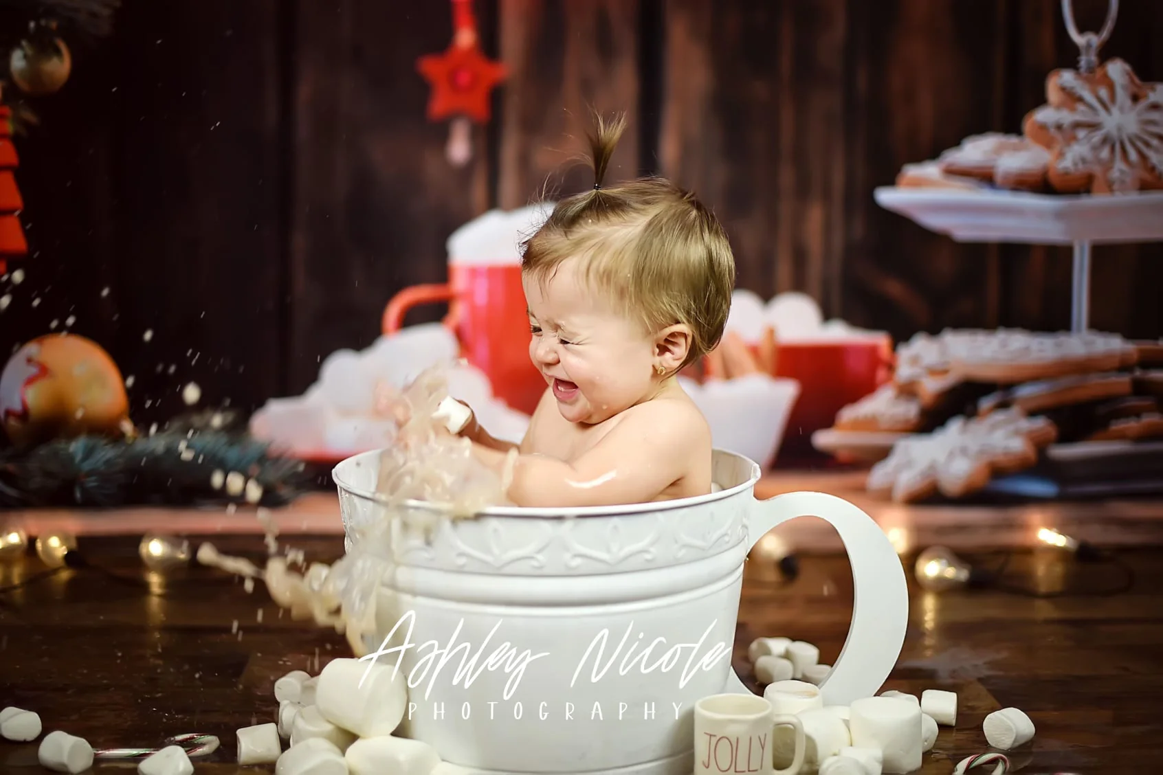 Kate Christmas Cookies Wood Hot Cocoa Backdrop for Photography - Image 4