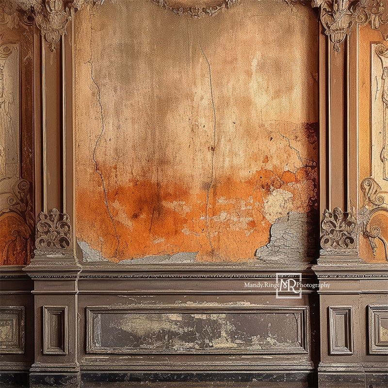 Kate Distressed Victorian Wall Backdrop Designed by Mandy Ringe Photography - Image 2