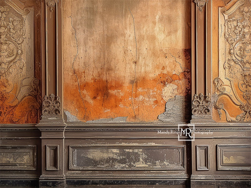 Kate Distressed Victorian Wall Backdrop Designed by Mandy Ringe Photography - Image 3