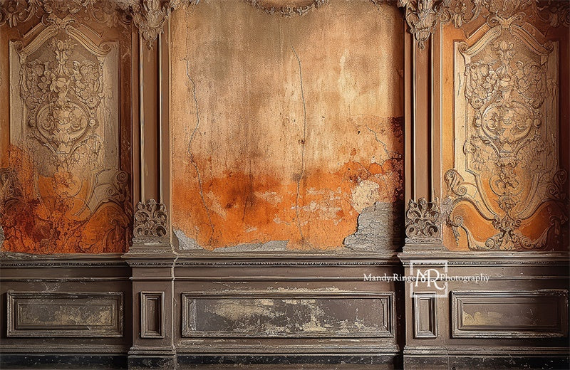 Kate Distressed Victorian Wall Backdrop Designed by Mandy Ringe Photography - Image 4