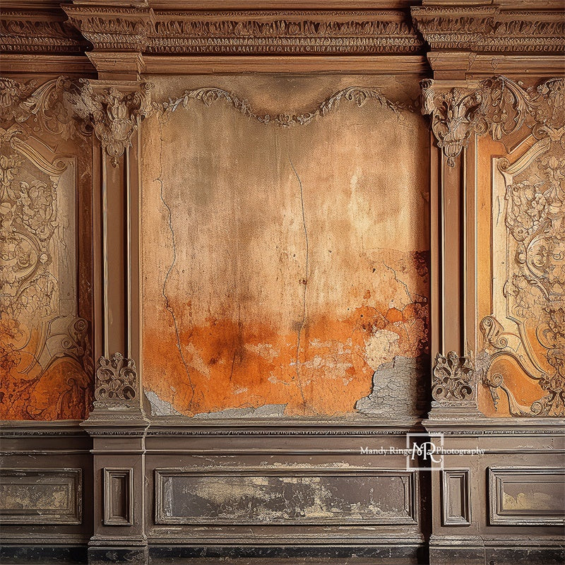 Kate Distressed Victorian Wall Backdrop Designed by Mandy Ringe Photography - Image 5