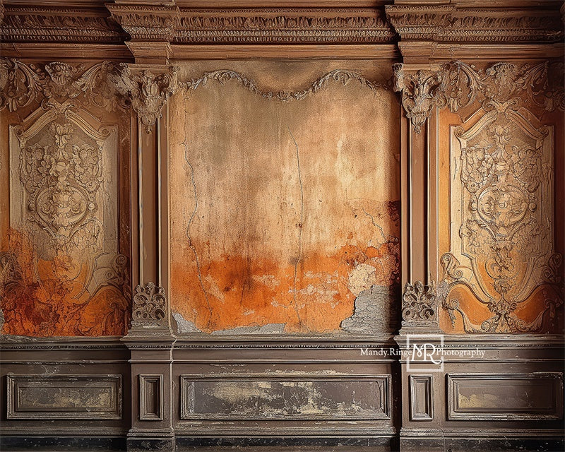 Kate Distressed Victorian Wall Backdrop Designed by Mandy Ringe Photography - Image 6