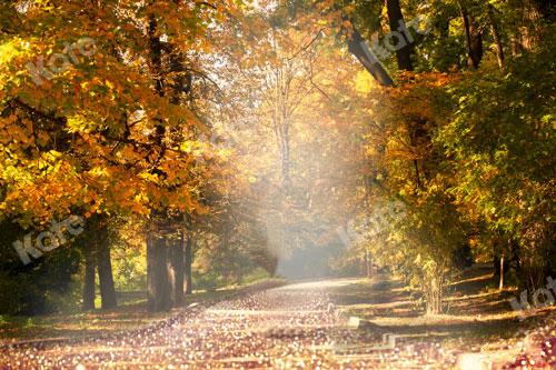 Kate Fall Sunny Forest Backdrop Designed By JS Photography
