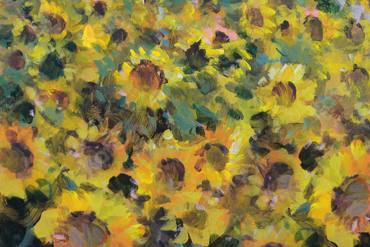 Kate Fine Art Florals Sunflower Field Backdrop Designed by GQ - Image 4