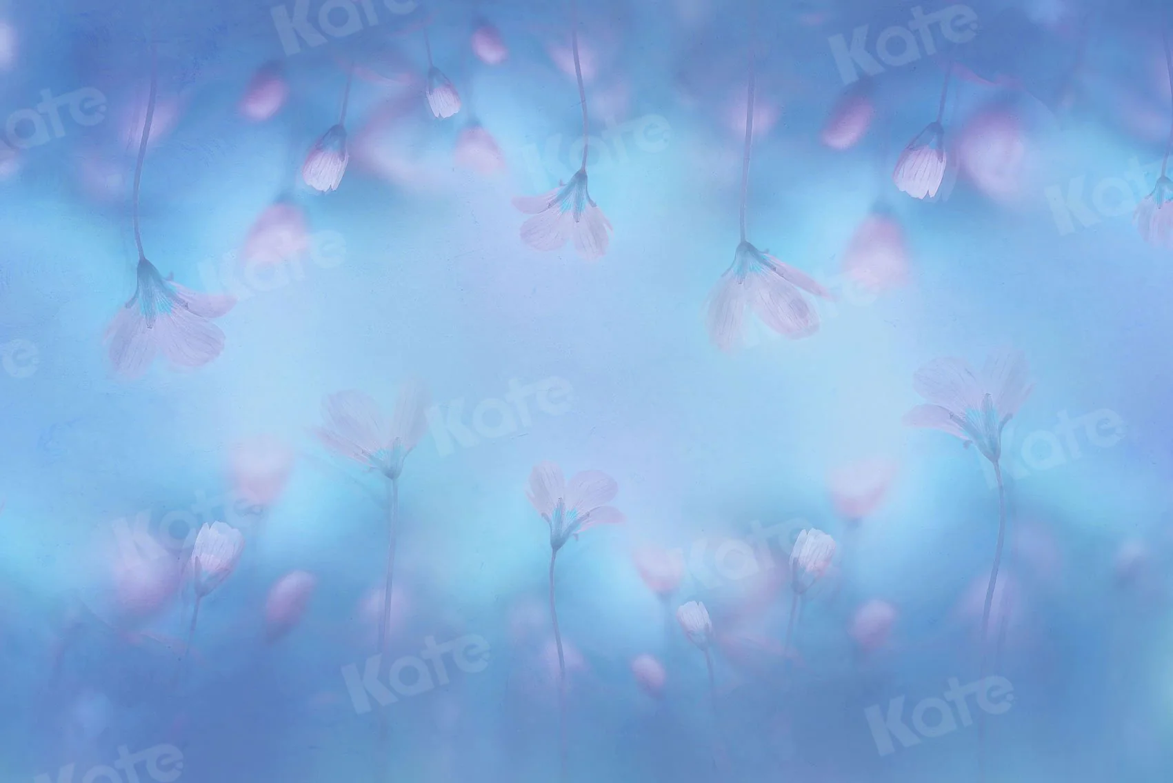 Kate Fine Art Light Pink Florals Blue Backdrop for Photography