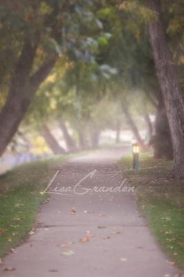 Kate Foggy Path Backdrop Designed by Lisa Granden