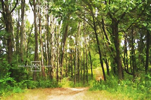 Kate Summer Forest Path Backdrop Designed by Mandy Ringe Photography - Image 2