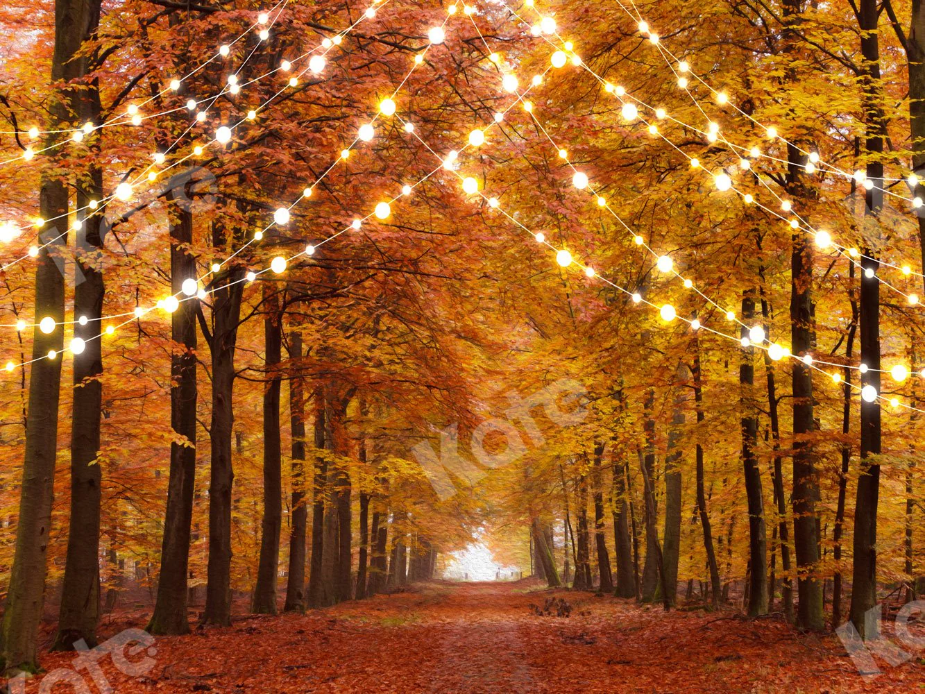 Kate Fall Backdrop Forest Road with Lights for Photography