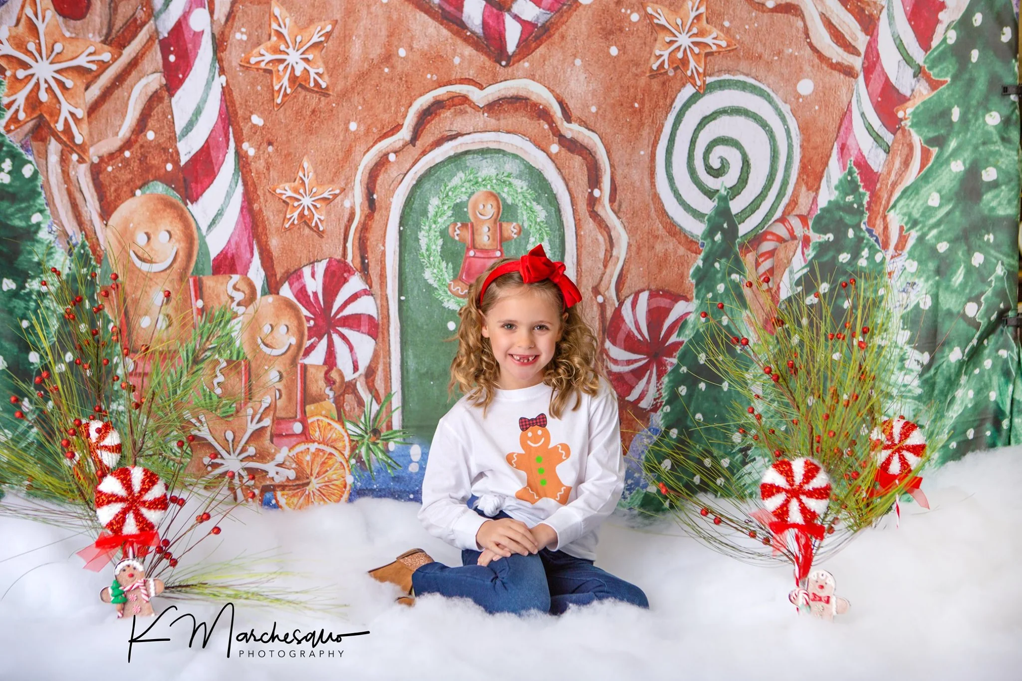 Kate Christmas Backdrop Winter Gingerbread House Designed by GQ - Image 3