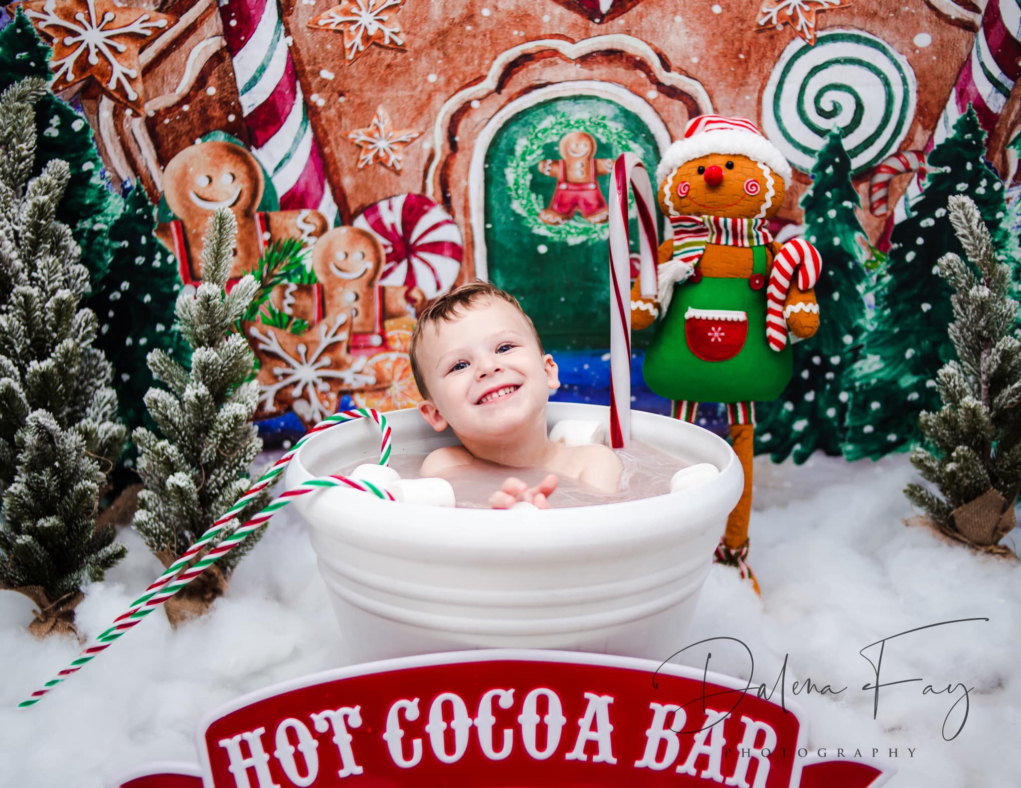 Kate Christmas Backdrop Winter Gingerbread House Designed by GQ - Image 4