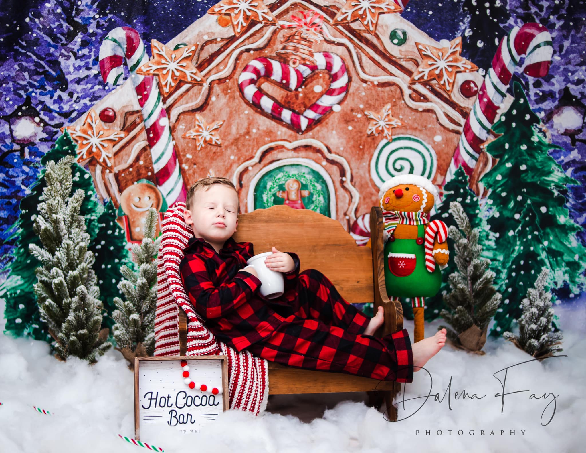 Kate Christmas Backdrop Winter Gingerbread House Designed by GQ - Image 5