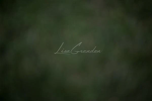 Kate Greenblur Floor Backdrop for Photography Designed by Lisa Granden