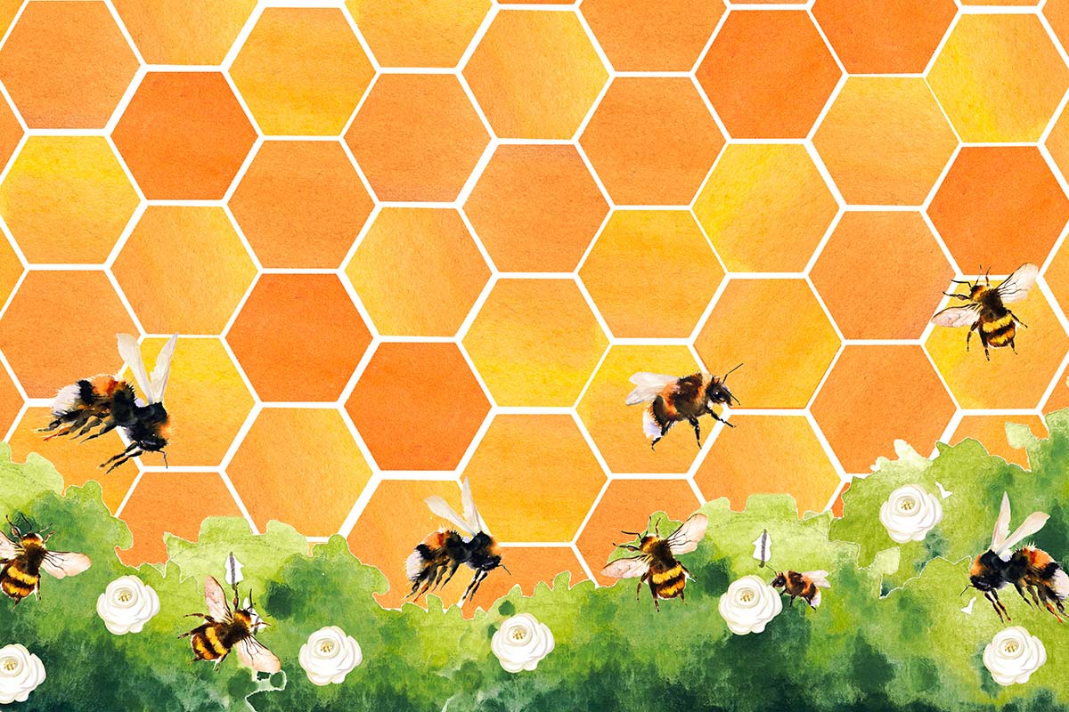 Kate Honeycomb Bee Backdrop Designed by GQ - Image 3