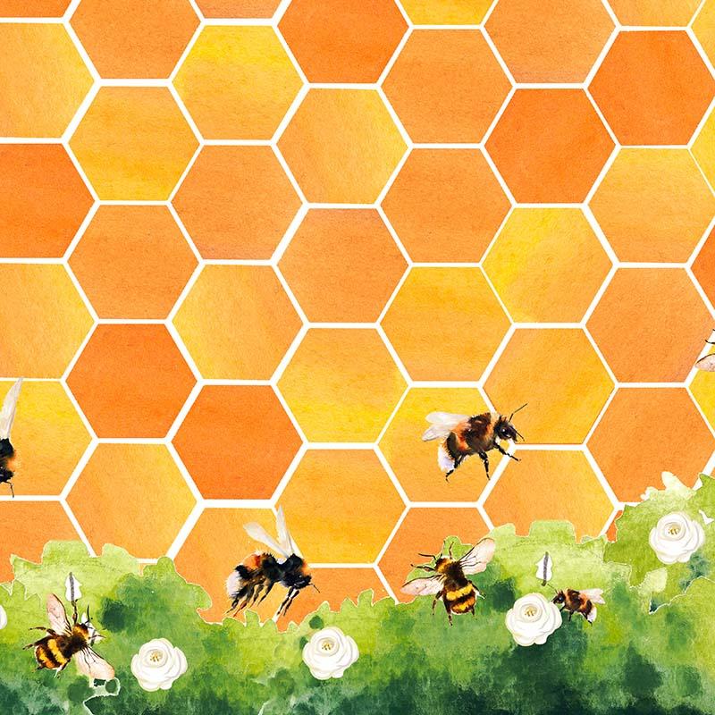Kate Honeycomb Bee Backdrop Designed by GQ - Image 4