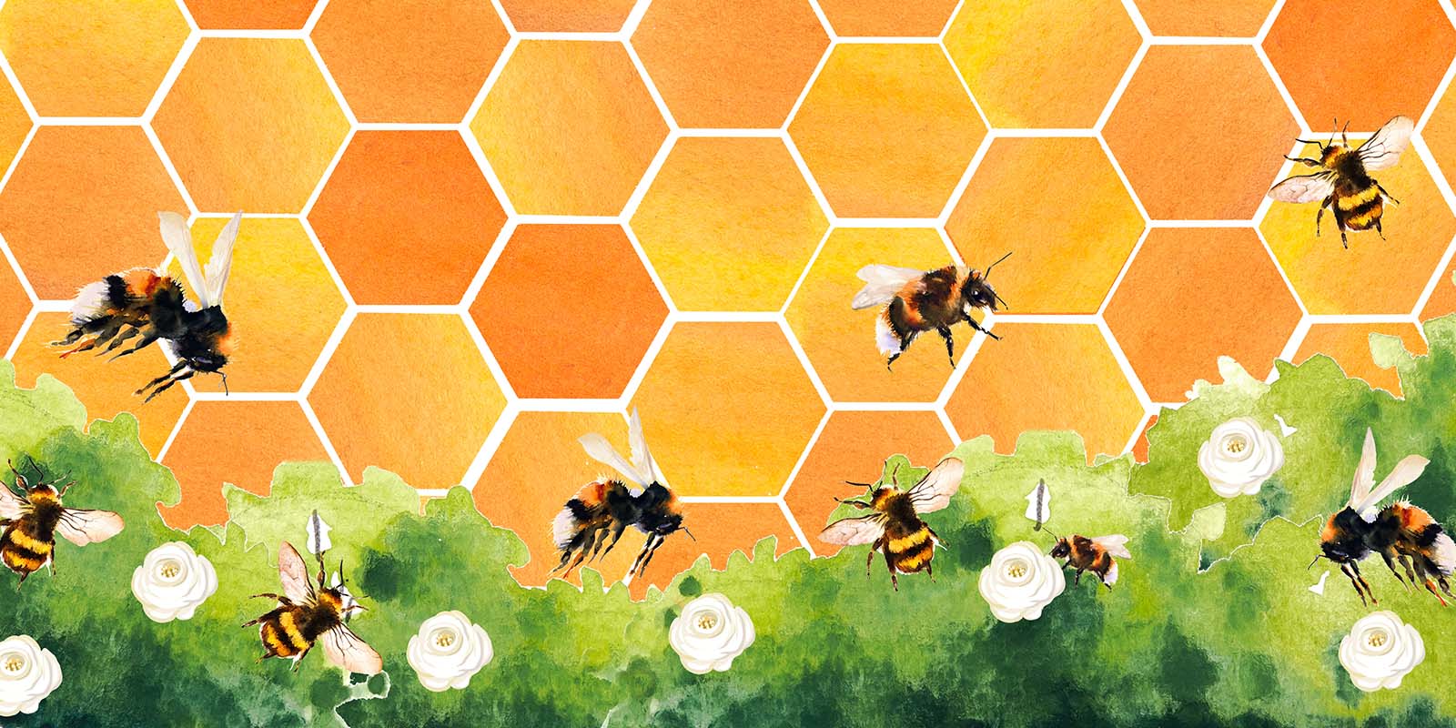 Kate Honeycomb Bee Backdrop Designed by GQ - Image 5