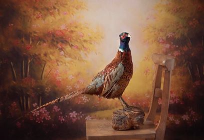 Kate Abstract Vintage Backdrop Retro Oil Painting for Photography - Image 4