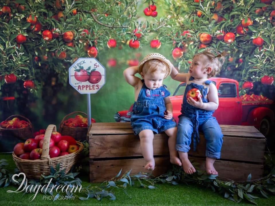 Kate Apple Orchard Red Truck Backdrop Designed by Rosabell Photography - Image 4
