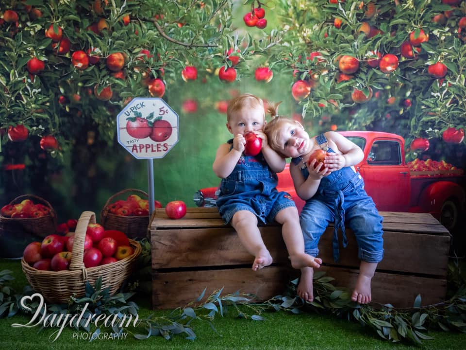 Kate Apple Orchard Red Truck Backdrop Designed by Rosabell Photography - Image 5