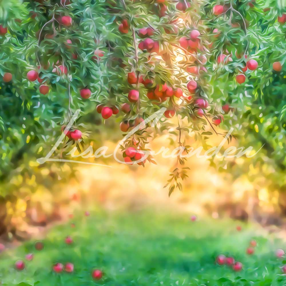 Kate Apple Orchard Summer Backdrop for Photography Designed by Lisa Granden - Image 5
