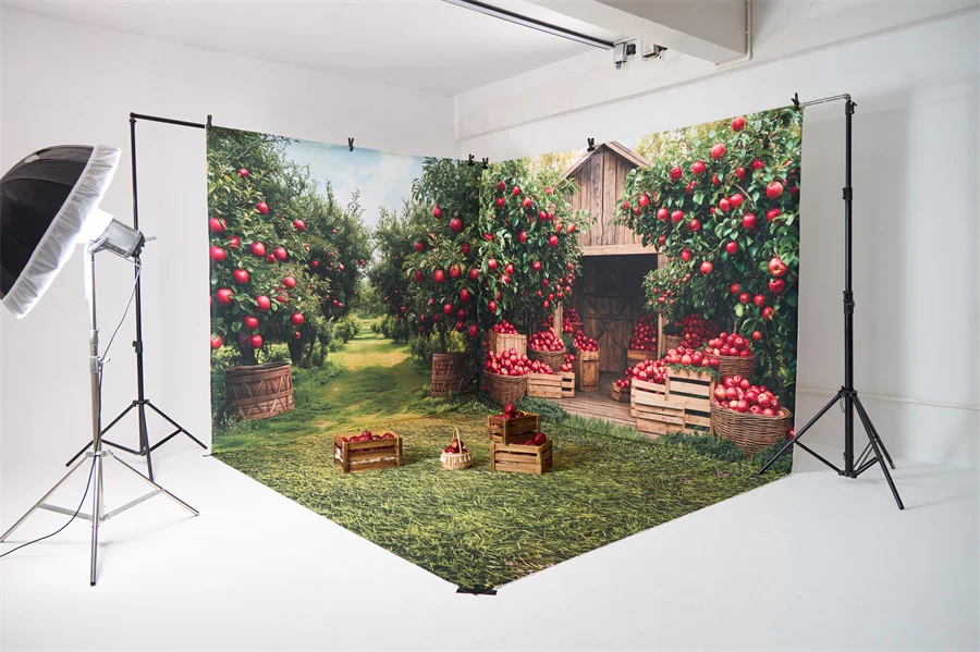 Kate Autumn Apple Orchard Barn Room Set - Image 6