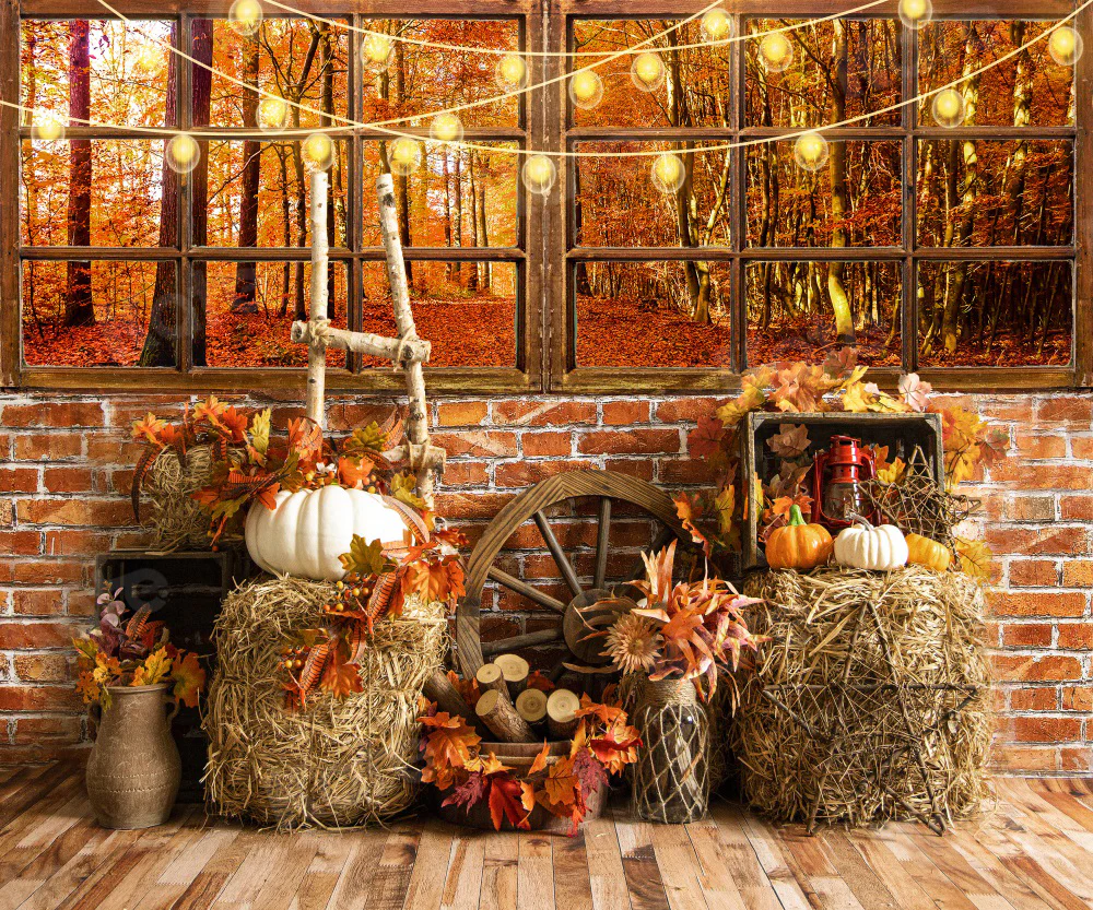 Kate Autumn Barn Pumpkins Window Leaves Backdrop for Photography - Image 3