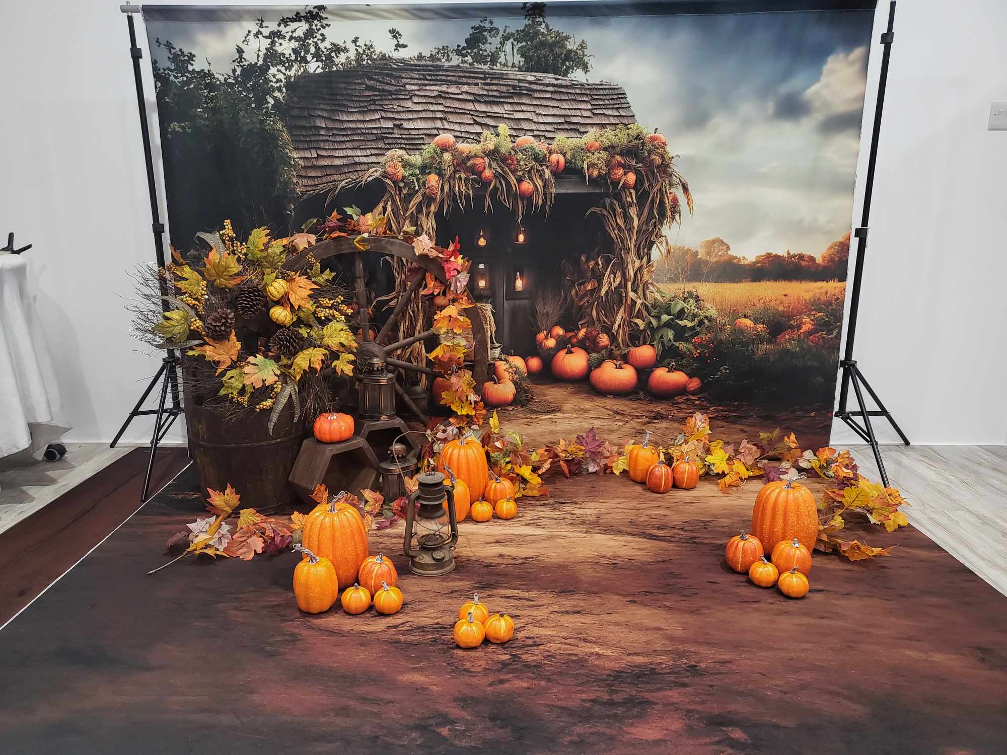 Kate Autumn Field Pumpkin Old House Backdrop+Soil Floor Backdrop - Image 3